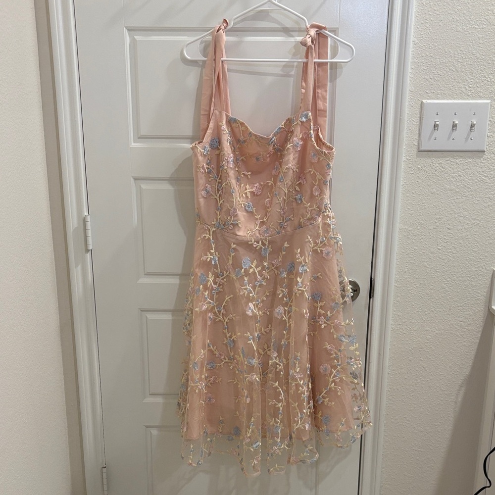 Blush Pink Floral Embroidered Mesh Dress Tie Strap Fit & Flare XXL